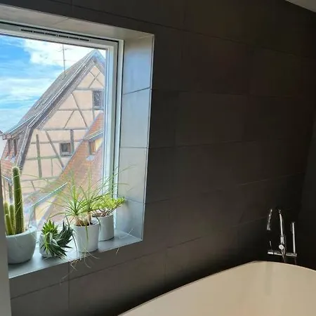 Apartment Les Murmures Des Toits - Hypercentre - Garage Prive Colmar