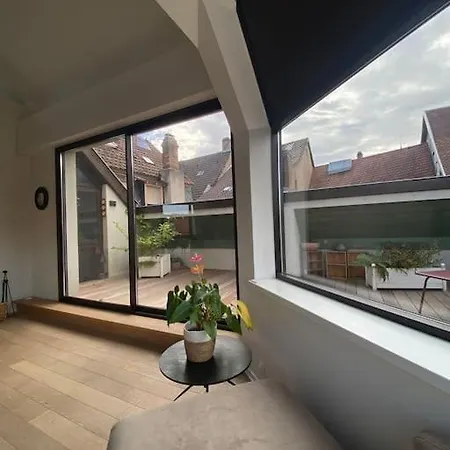 Les Murmures Des Toits - Hypercentre - Garage Prive Apartment *