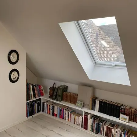 Apartman Les Murmures Des Toits - Hypercentre - Garage Prive Colmar