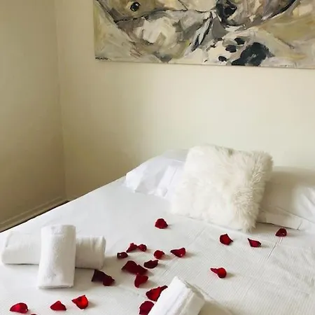 Les Murmures Des Toits - Hypercentre - Garage Prive Apartment *