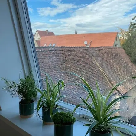 Les Murmures Des Toits - Hypercentre - Garage Prive Colmar