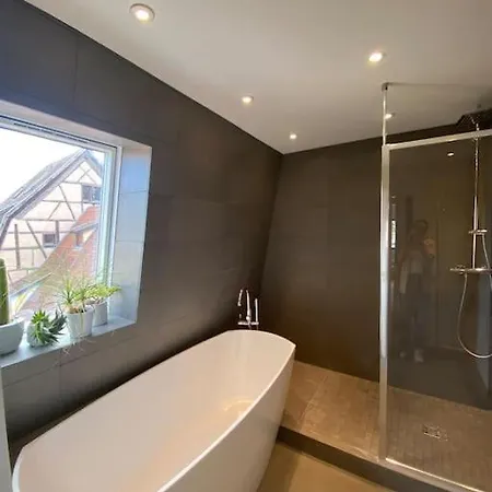 Les Murmures Des Toits - Hypercentre - Garage Prive Apartment