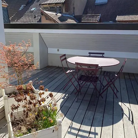 Apartman Les Murmures Des Toits - Hypercentre - Garage Prive *