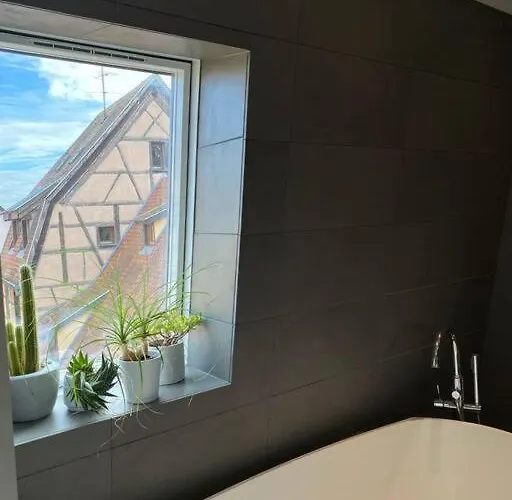 Apartment Les Murmures Des Toits - Hypercentre - Garage Prive Colmar