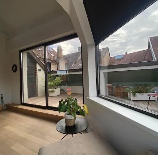 Les Murmures Des Toits - Hypercentre - Garage Prive Apartment *