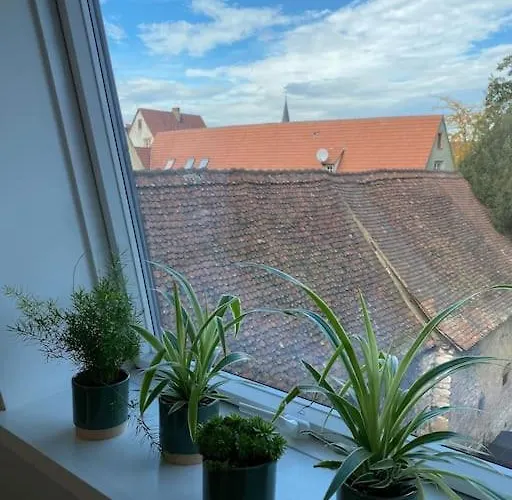 Les Murmures Des Toits - Hypercentre - Garage Prive Colmar