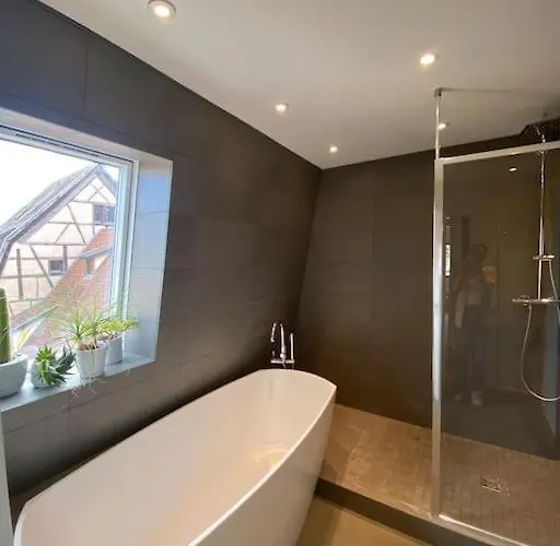 Les Murmures Des Toits - Hypercentre - Garage Prive Apartment