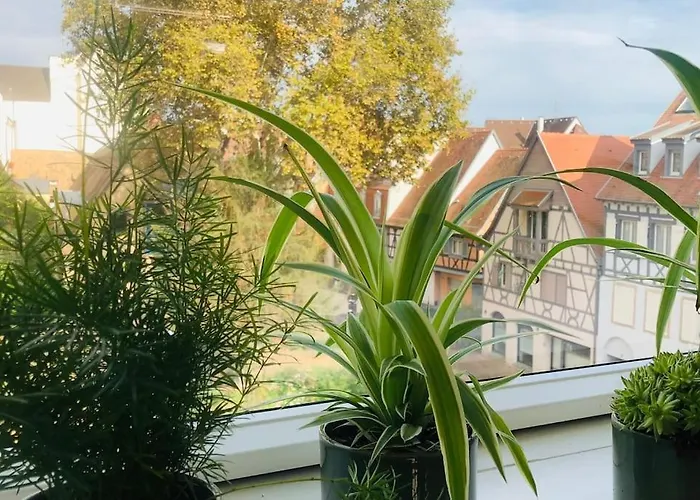 Les Murmures Des Toits - Hypercentre - Garage Prive