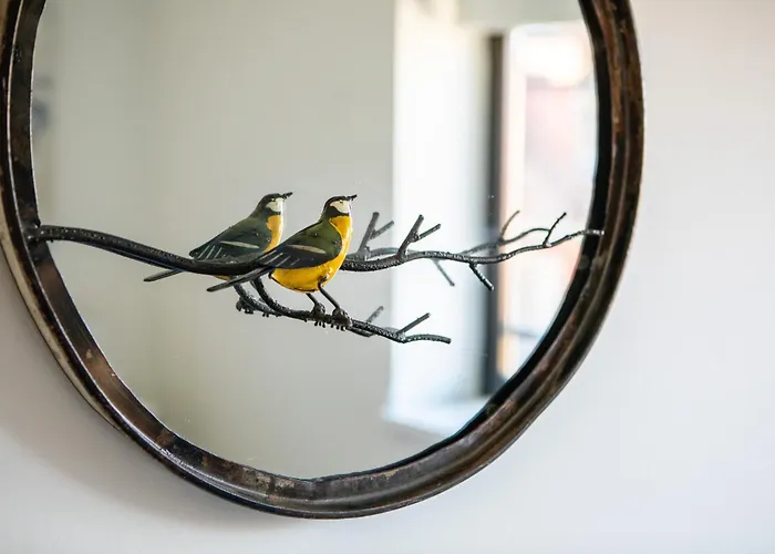 Les Murmures Des Toits - Hypercentre - Garage Prive Appartement Colmar